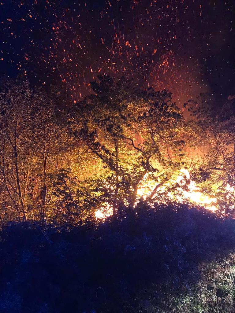 Finaliza la evacuación de varias zonas de Tacoronte, El Sauzal y Santa Úrsula