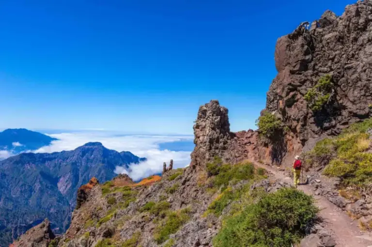 Gobierno y Cabildo de La Palma acuerdan incentivos a las aerolíneas y prorrogan el bono turístico