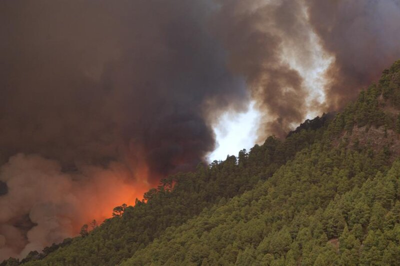 El incendio de Tenerife ya ha afectado a cerca de 800 hectáreas