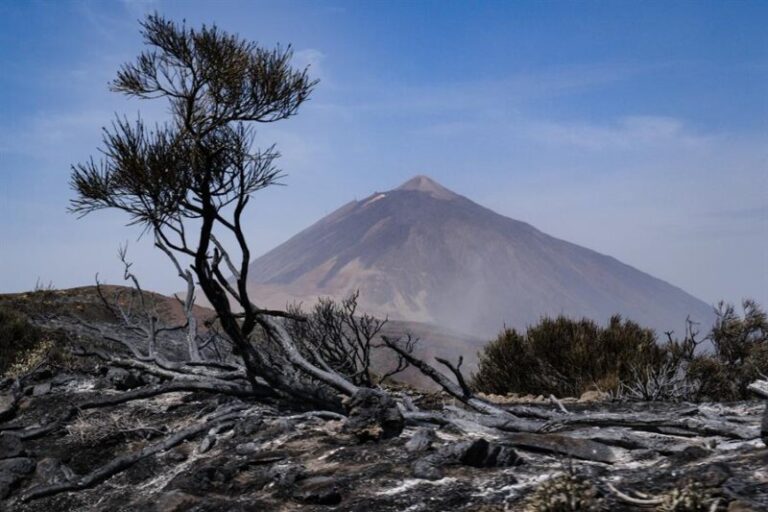 Los efectivos siguen trabajando en las zonas calientes del incendio de Tenerife que ya tiene el perímetro consolidado