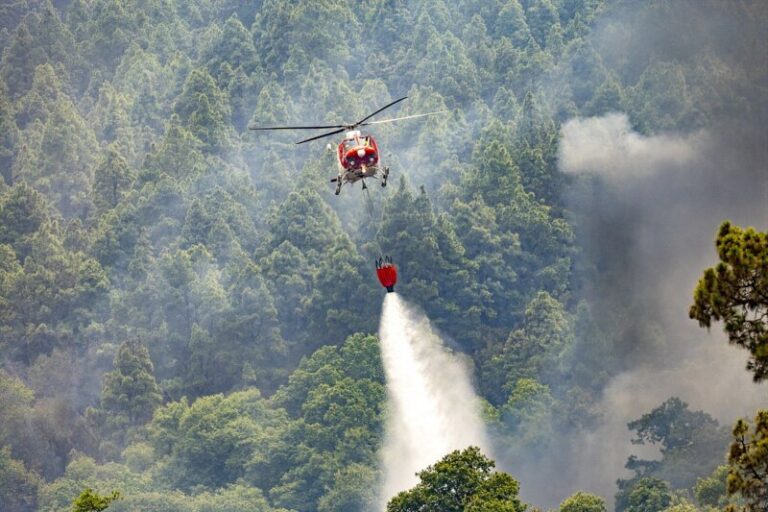 El fuego en Tenerife ya afecta a mas de 12.800 hectáreas