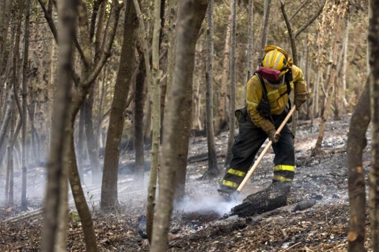 El Cabildo de Tenerife pide un Plan Especial de Empleo al Gobierno por el incendio