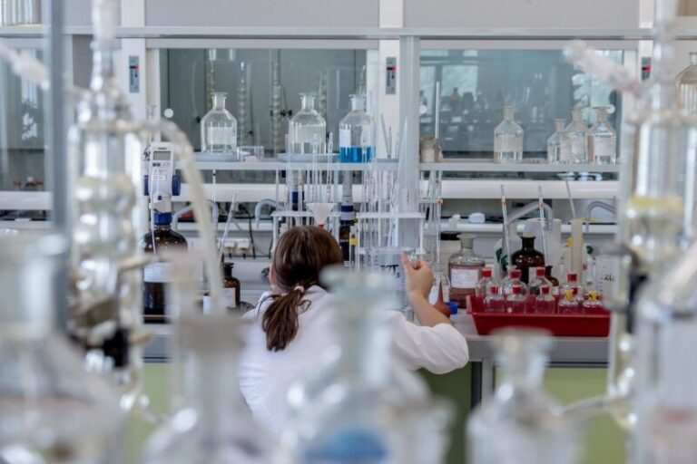Hallan otro papel de la membrana basal en los órganos que ayudaría al estudio del cáncer