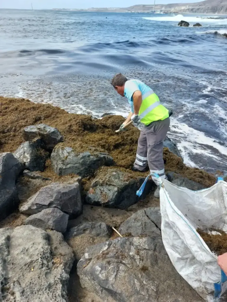 Presencia de microalgas en Granadilla de Abona, donde se ha decretado el cierre de tres playas