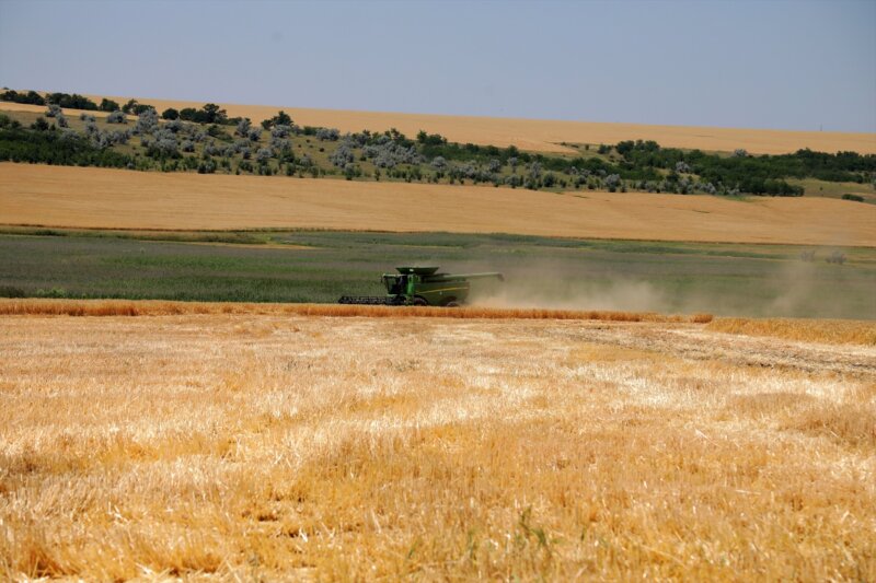 Ucrania propone a Turquía restaurar el corredor de grano / Imagen de archivo 