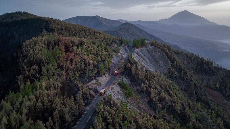 La iniciativa 'Tótems Tenerife' busca documentar la recuperación del monte afectado por el incendio