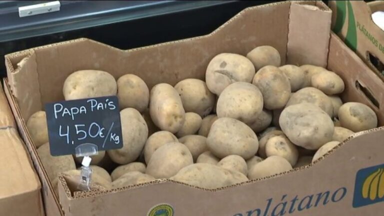 Llamada de atención en defensa de la agricultura canaria