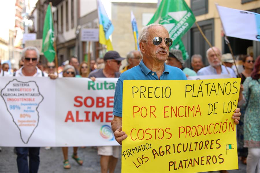 Unos 300 agricultores se manifiestan en La Palma "por un precio justo" del plátano canario