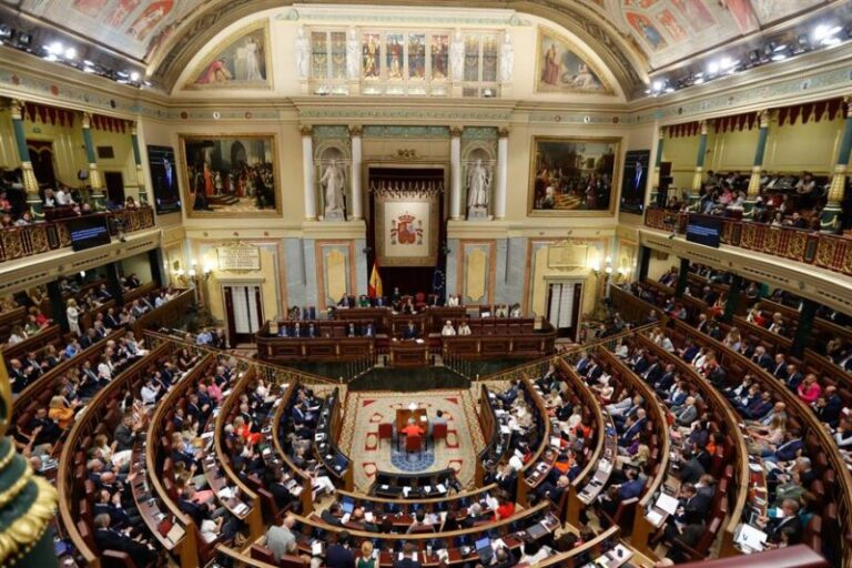 Vista general del hemiciclo durante la intervención del presidente del PP y candidato a la presidencia del Gobierno, Alberto Núñez Feijóo, en la primera sesión del debate de su investidura este martes en el Congreso. EFE/Juan Carlos Hidalgo