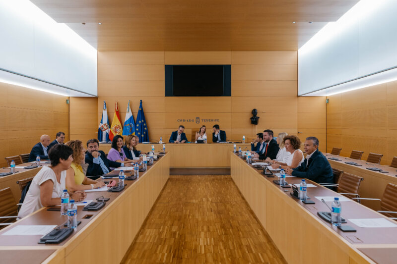 Consejo de Gobierno del Cabildo de Tenerife