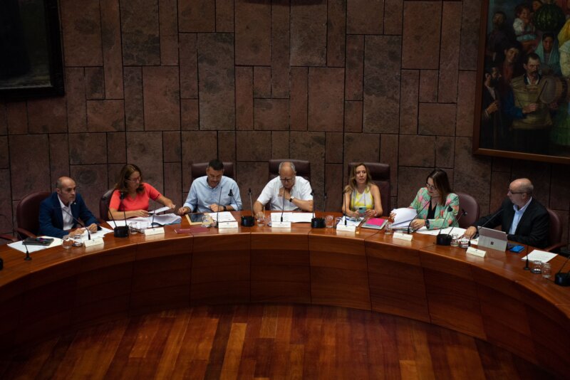 Los siete cabildos se han reunido en el Cabildo de La Gomera par abordar la crisis migratoria