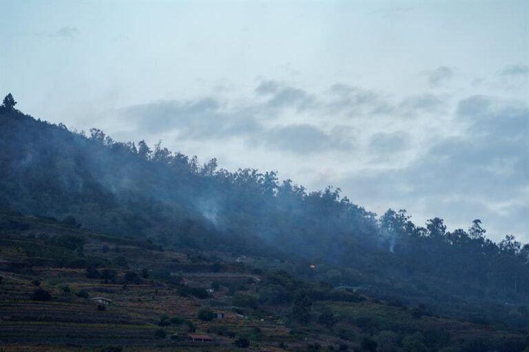 El incendio de Tenerife baja a Nivel 1 y permite que los desalojados vuelvan a casa