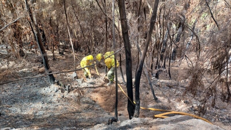 Incendio de Tenerife reactivaciones