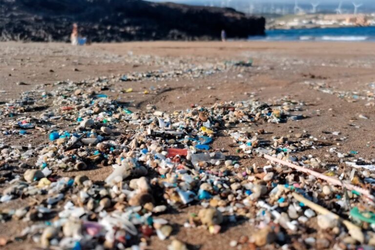 Los microplásticos se depositan en Santa Cruz de Tenerife y Las Palmas de Gran Canaria