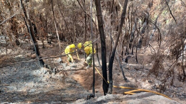 Concluye la alerta por lluvias en las zonas afectadas por el incendio de Tenerife