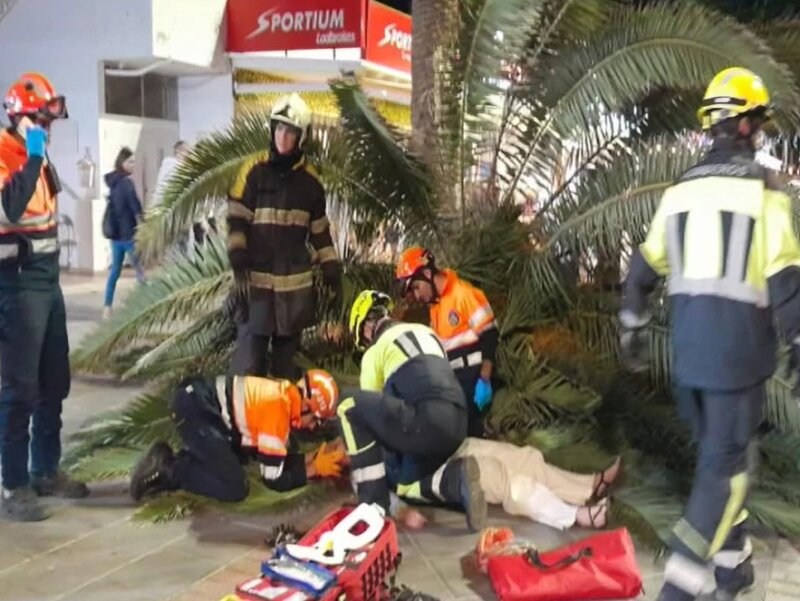 Una mujer queda atrapada en una palmera que le cayó encima en Lanzarote