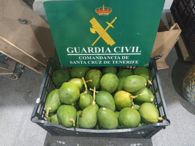 Intervenidos casi 207 kilos de aguacates y papayas en Tenerife