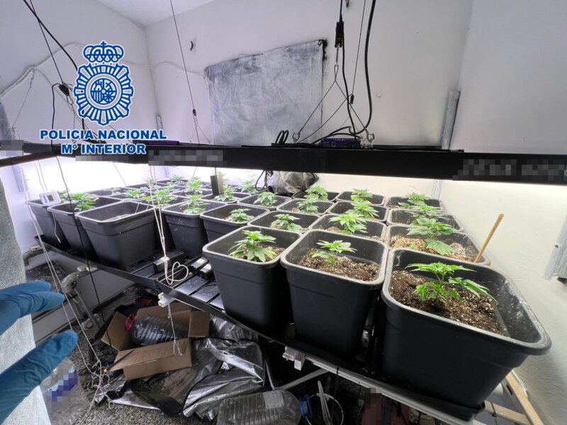 13 kilos de marihuana intervenidos por la Policía Nacional