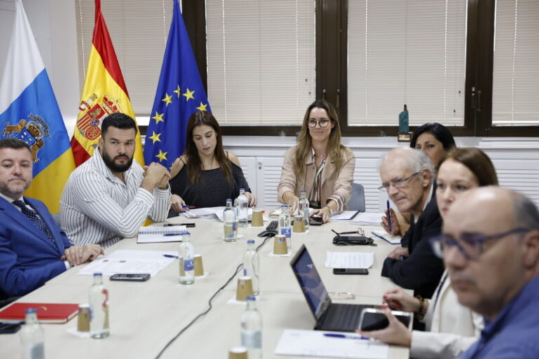 Gobierno y cabildos buscan salvar seis millones de financiación europea para el transporte