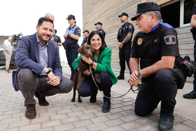 Nika ya es la nueva integrante de la Unidad Canina de La Policía Local de Las Palmas de Gran Canaria