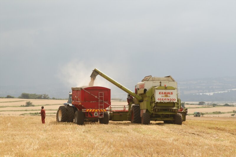 Recogida de una cosecha en Nakuru, Kenia. Imagen: Europa Press/Contact