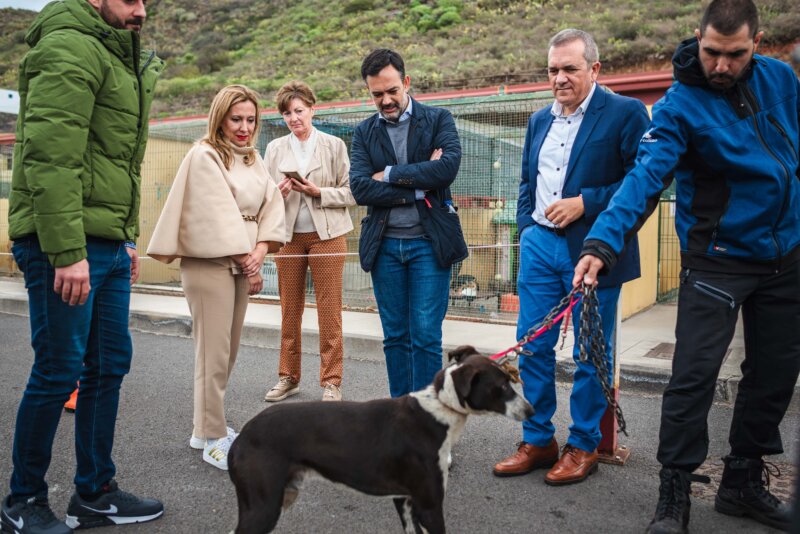 El Cabildo de Tenerife busca una alternativa a Valle Colino y planifica una red insular de albergues de animales