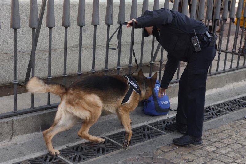 Un policía y su perro registran las calles del centro de la capital este jueves, durante el operativo de seguridad llevado a cabo con motivo de la Navidad. EFE/ Aitor Martín