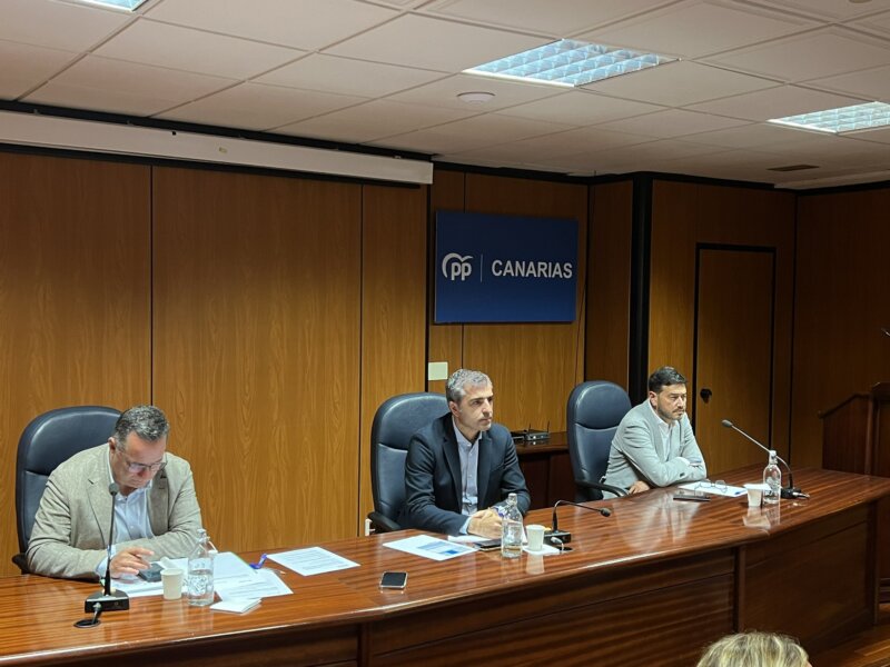 El PP de Canarias renueva su comité de dirección