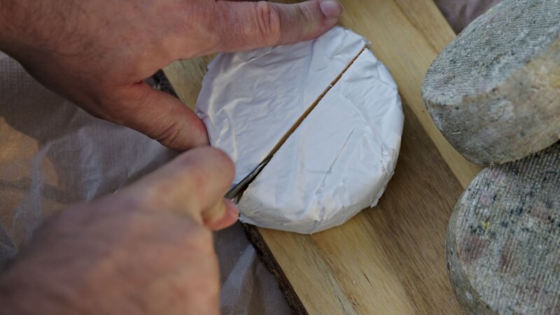 Alertan de la distribución de queso madurado procedente de Francia con la bacteria E. coli