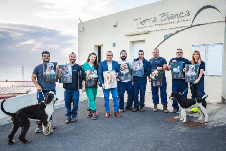 El Cabildo tinerfeño pone en marcha una campaña contra el abandono de animales