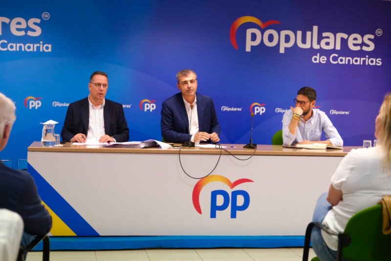 Comisión gestora. Imagen: La Junta Directiva del PP de Canarias designa a Carlos Ester para presidir la Comisión de Gobierno Transitoria en Gran Canaria. PP de Canarias