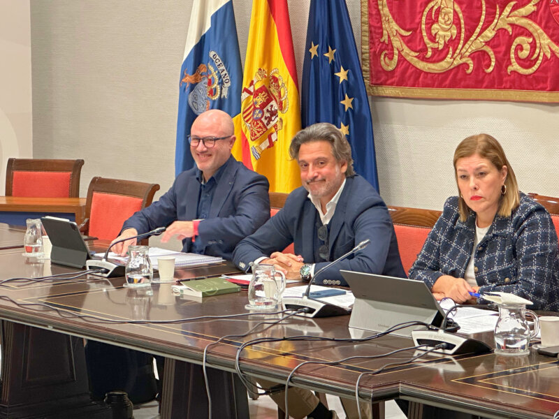 Comisión de Cabildos Insulares en el Parlamento de Canarias