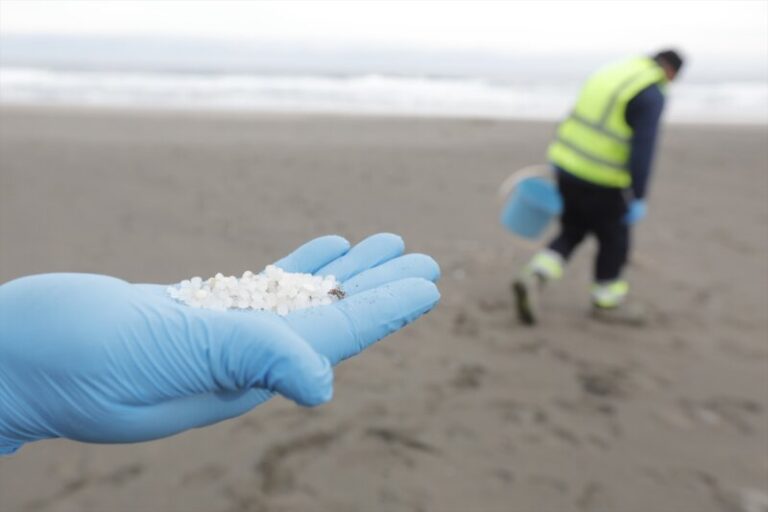 Los pellets, un “problema medioambiental grave” según una investigadora de la ULPGC