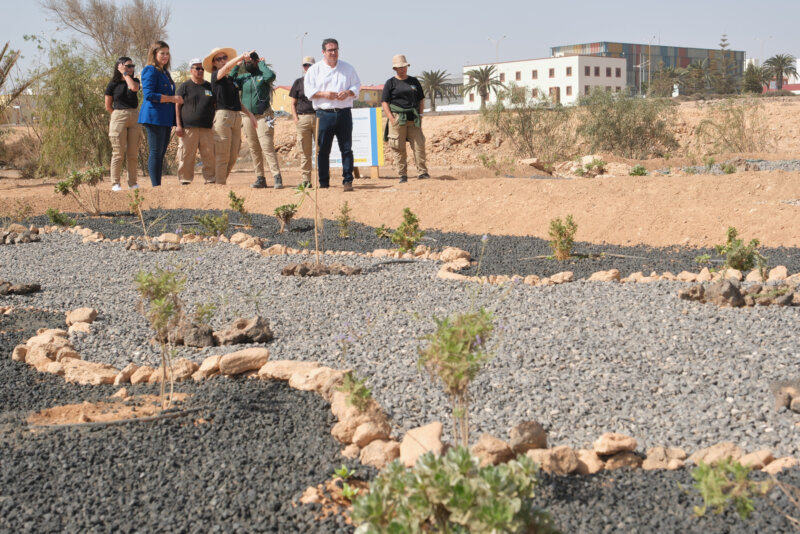 15 desempleados del PFAE ‘Embellece Fuerteventura’ crean un jardín en Rosa de Don Victoriano