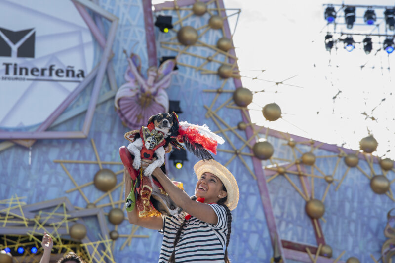 Arepa conquista el Carnaval Canino de Las Palmas de Gran Canaria