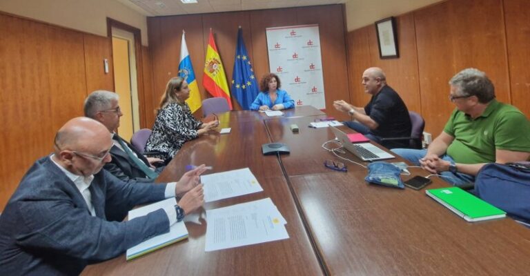 La patronal hotelera de Las Palmas acude a la Diputación del Común para analizar la situación de las Kellys