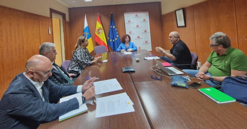 La patronal hotelera de Las Palmas acude a la diputación del común para analizar la situación de las Kellys
