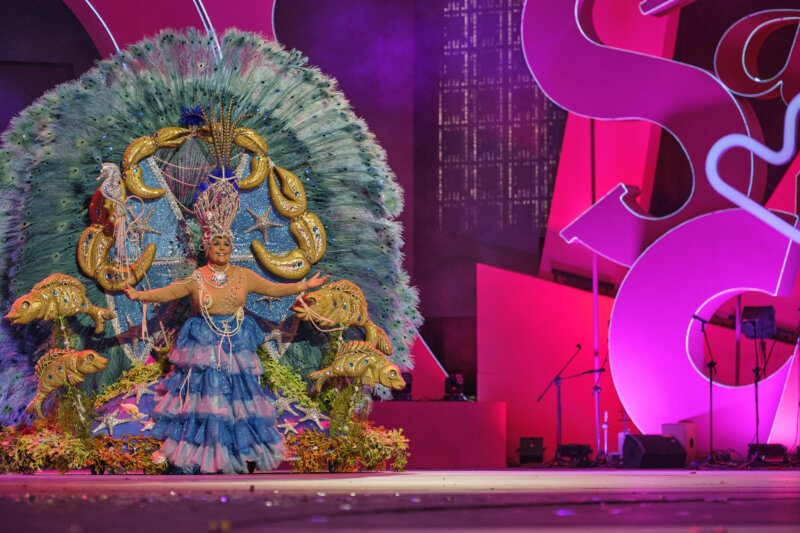 Candidata a Reina de los Mayores de Santa Cruz de Tenerife 2024 María Jesús Socas Jiménez