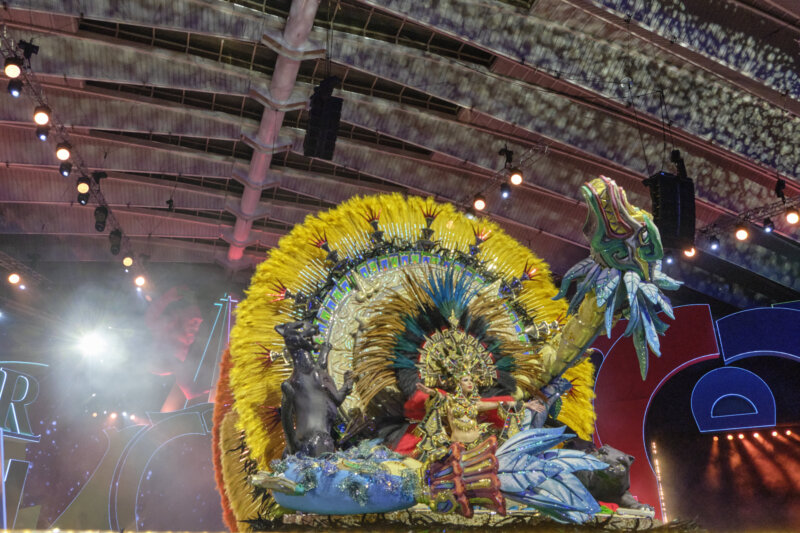 Tamara Martín Gil, candidata 9 a Reina del Carnaval de Santa Cruz de Tenerife 2024 / RTVC