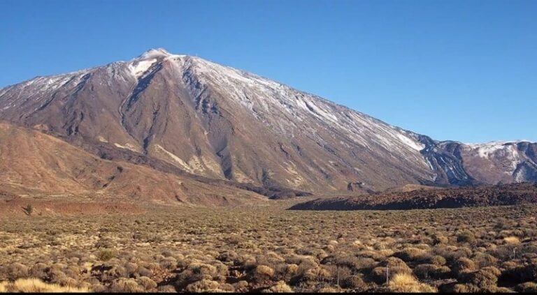 Ya se empieza a notar la recuperación del retamar del Teide tras el incendio de 2007