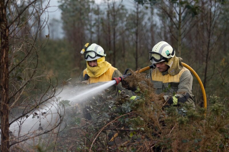 Bomberos forestales actuando en un incendio / Archivo / Europa Press