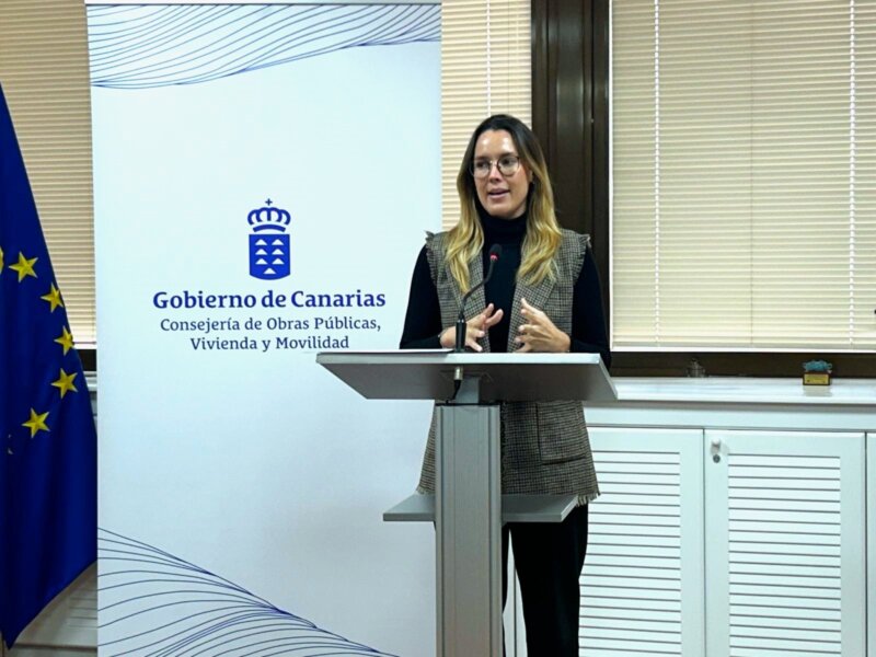 La directora general de Transportes del Gobierno de Canarias, María Fernández. Imagen Gobierno de Canarias 