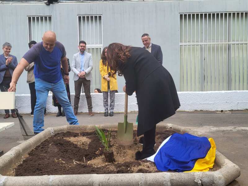 En el patio del IES Pérez Galdós hay un palmeral por el que han pasado diferentes Premios Nobel