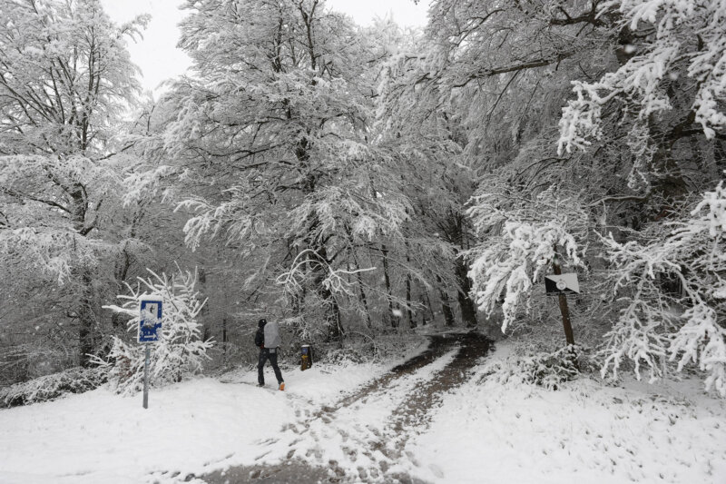 GRAFCAV516. MEZKIRITZ, 26/03/2024.- Un peregrino en el Camino de Santiago durante la nevada que ha caído a primeras horas de este martes. EFE/ Jesús Diges