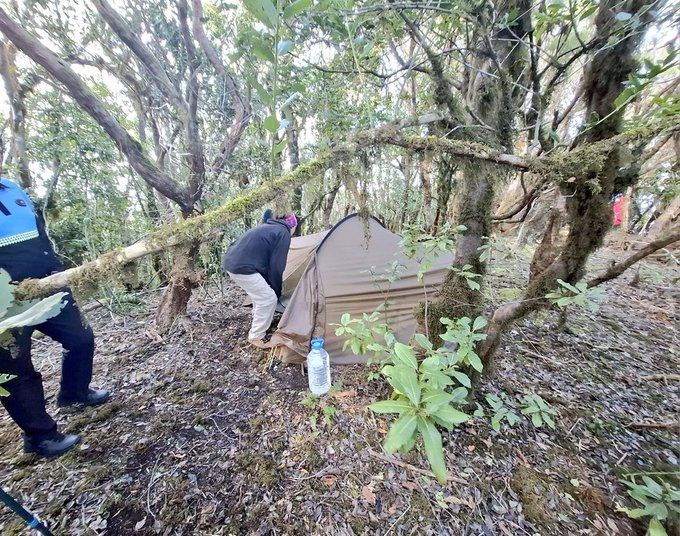 Los turistas acampados se encontraban en una zona protegida debido a sus valores ambientales y calidad de laurisilva