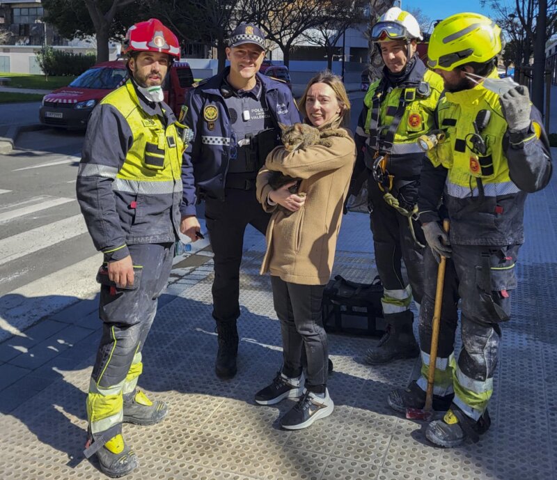 Encuentran con vida a un gato una semana después del incendio del edificio Campanar, en Valencia / EFE
