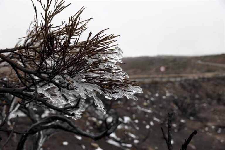 Canarias registra las temperaturas más bajas de todo el país y las precipitaciones más abundantes