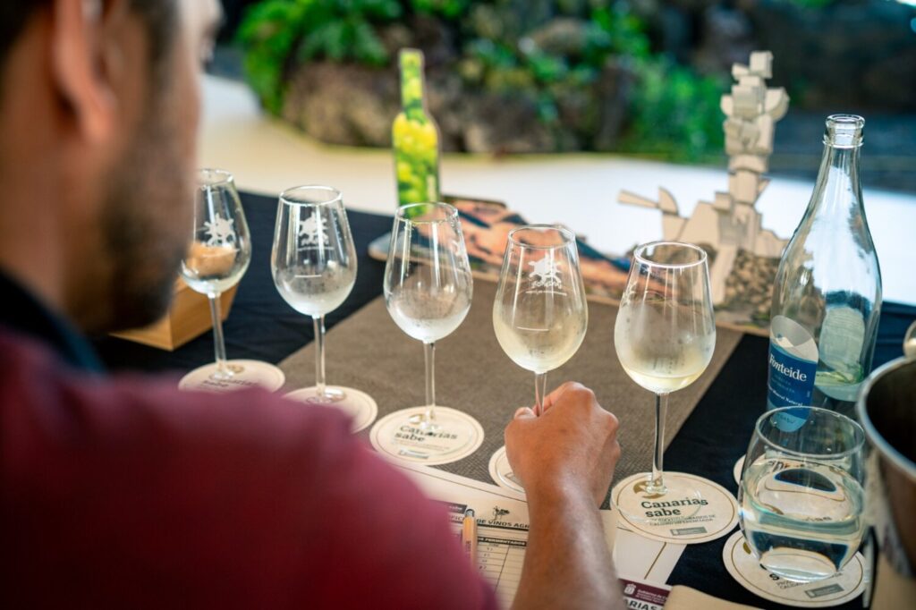 230 vinos participan en el Concurso Oficial de Vinos Agrocanarias
