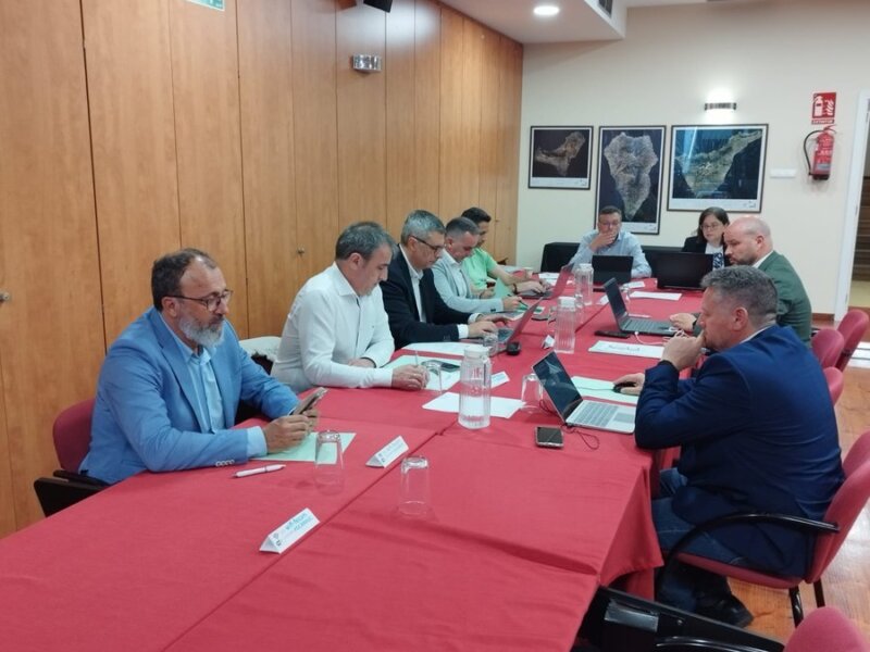 Reunión de la Federación Canaria de Municipios. Imagen Fecam