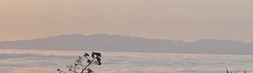 Lunes de descenso en la temperaturas y semana con menos calima y algo de frío
temperaturas y calima. Vista de Gran Canaria desde Tenerife con el mar de nubes. Foto RTVC

